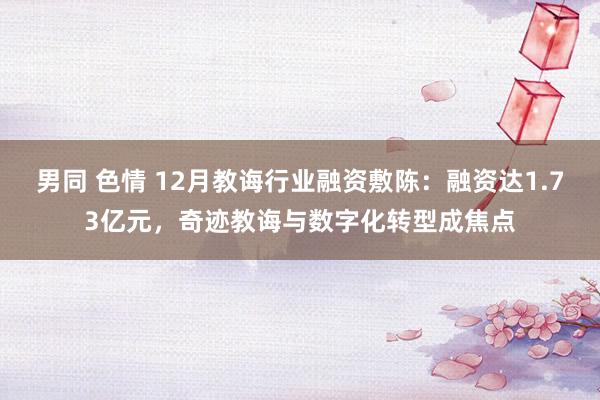 男同 色情 12月教诲行业融资敷陈：融资达1.73亿元，奇迹教诲与数字化转型成焦点