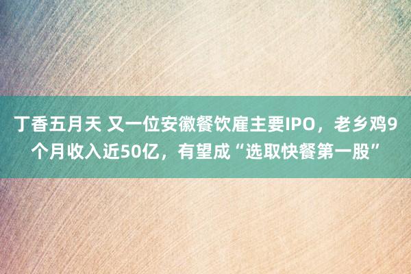 丁香五月天 又一位安徽餐饮雇主要IPO，老乡鸡9个月收入近50亿，有望成“选取快餐第一股”