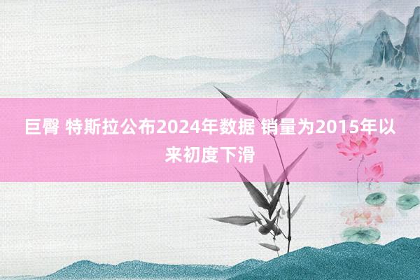 巨臀 特斯拉公布2024年数据 销量为2015年以来初度下滑