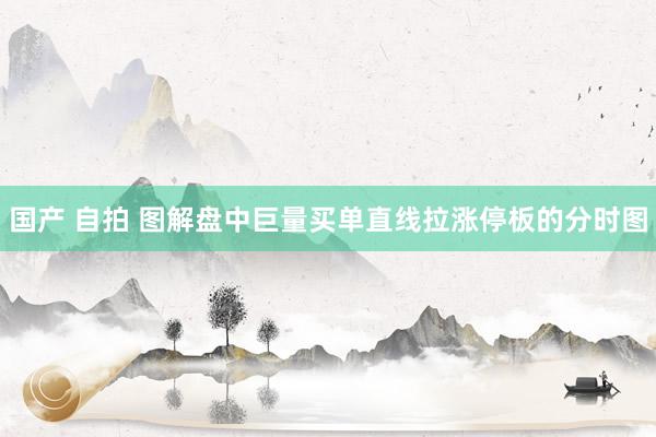 国产 自拍 图解盘中巨量买单直线拉涨停板的分时图