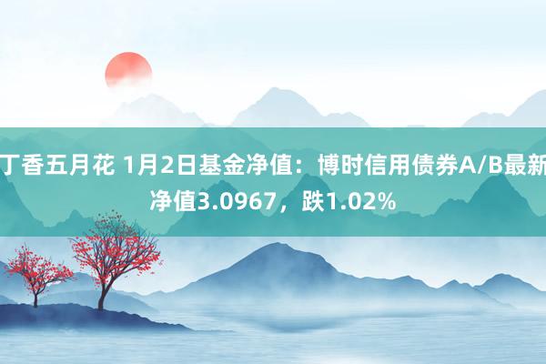 丁香五月花 1月2日基金净值：博时信用债券A/B最新净值3.0967，跌1.02%