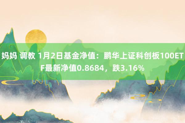 妈妈 调教 1月2日基金净值：鹏华上证科创板100ETF最新净值0.8684，跌3.16%