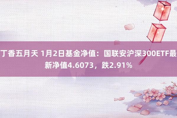 丁香五月天 1月2日基金净值：国联安沪深300ETF最新净值4.6073，跌2.91%