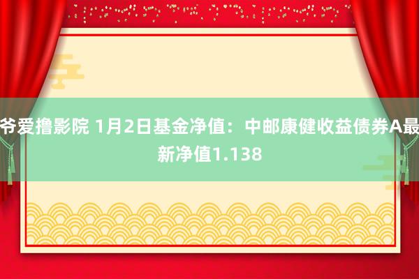 爷爱撸影院 1月2日基金净值：中邮康健收益债券A最新净值1.138
