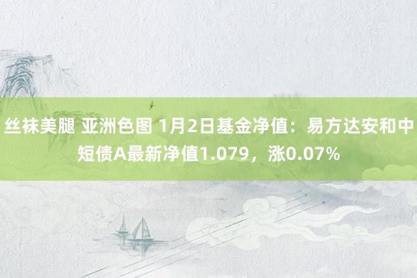 丝袜美腿 亚洲色图 1月2日基金净值：易方达安和中短债A最新净值1.079，涨0.07%