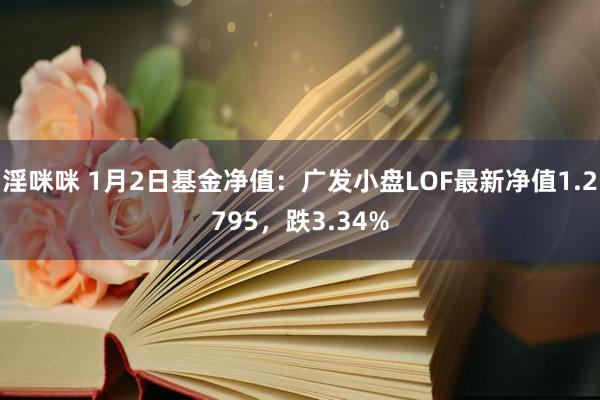 淫咪咪 1月2日基金净值：广发小盘LOF最新净值1.2795，跌3.34%