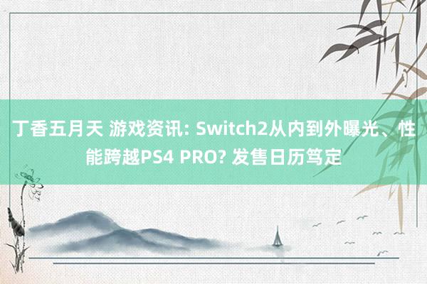 丁香五月天 游戏资讯: Switch2从内到外曝光、性能跨越PS4 PRO? 发售日历笃定