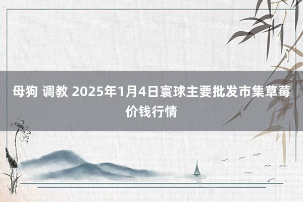 母狗 调教 2025年1月4日寰球主要批发市集草莓价钱行情