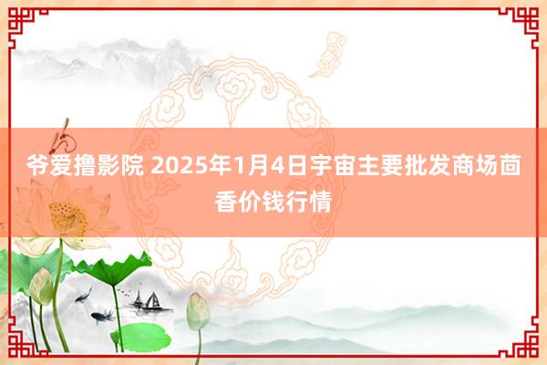 爷爱撸影院 2025年1月4日宇宙主要批发商场茴香价钱行情
