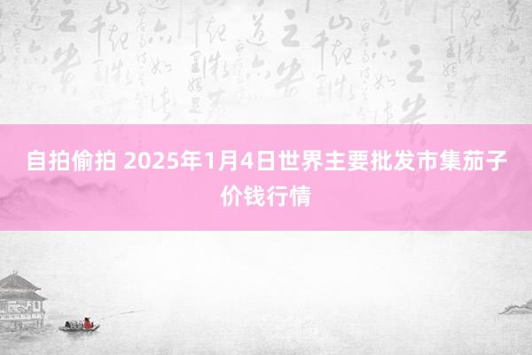 自拍偷拍 2025年1月4日世界主要批发市集茄子价钱行情