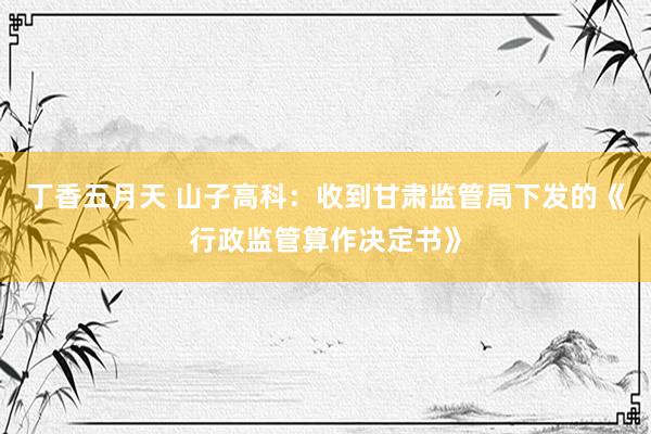 丁香五月天 山子高科：收到甘肃监管局下发的《行政监管算作决定书》