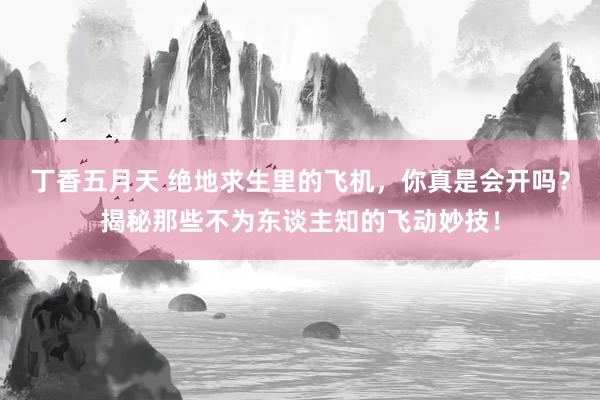 丁香五月天 绝地求生里的飞机，你真是会开吗？揭秘那些不为东谈主知的飞动妙技！