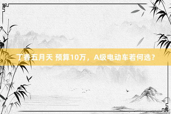 丁香五月天 预算10万，A级电动车若何选？