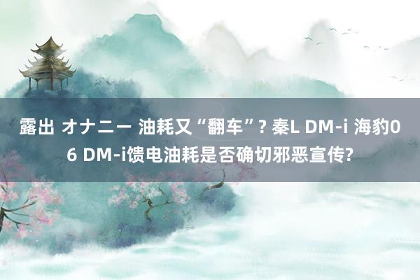 露出 オナニー 油耗又“翻车”? 秦L DM-i 海豹06 DM-i馈电油耗是否确切邪恶宣传?