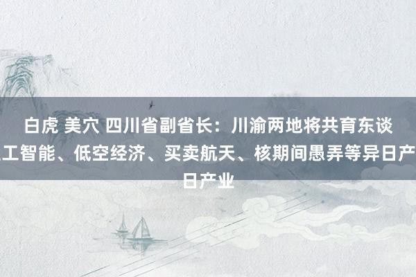 白虎 美穴 四川省副省长：川渝两地将共育东谈主工智能、低空经济、买卖航天、核期间愚弄等异日产业