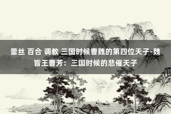 蕾丝 百合 调教 三国时候曹魏的第四位天子-魏皆王曹芳：三国时候的悲催天子