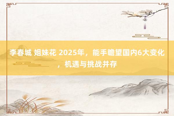 李春城 姐妹花 2025年，能手瞻望国内6大变化，机遇与挑战并存