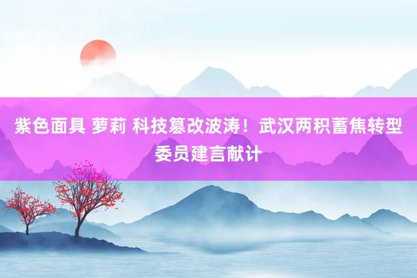 紫色面具 萝莉 科技篡改波涛！武汉两积蓄焦转型委员建言献计