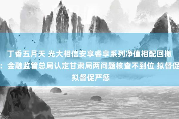 丁香五月天 光大相信安享睿享系列净值相配回撤跟踪：金融监管总局认定甘肃局两问题核查不到位 拟督促严惩