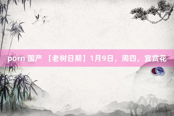 porn 国产 【老树日期】1月9日，周四，宜赏花