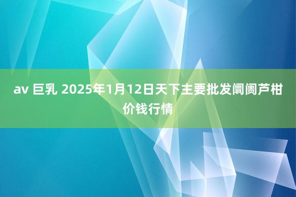 av 巨乳 2025年1月12日天下主要批发阛阓芦柑价钱行情