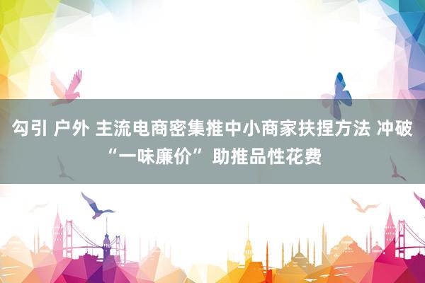 勾引 户外 主流电商密集推中小商家扶捏方法 冲破“一味廉价” 助推品性花费