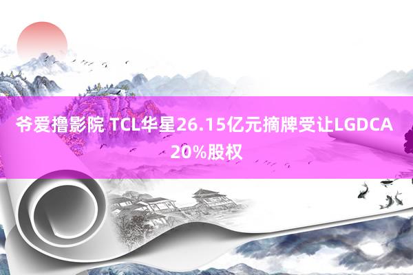 爷爱撸影院 TCL华星26.15亿元摘牌受让LGDCA 20%股权