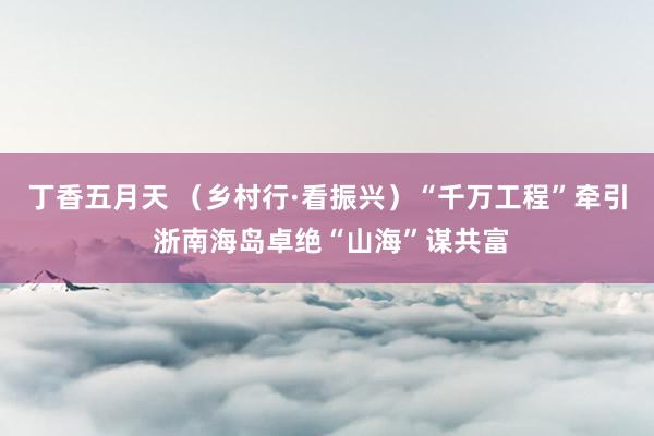 丁香五月天 （乡村行·看振兴）“千万工程”牵引 浙南海岛卓绝“山海”谋共富