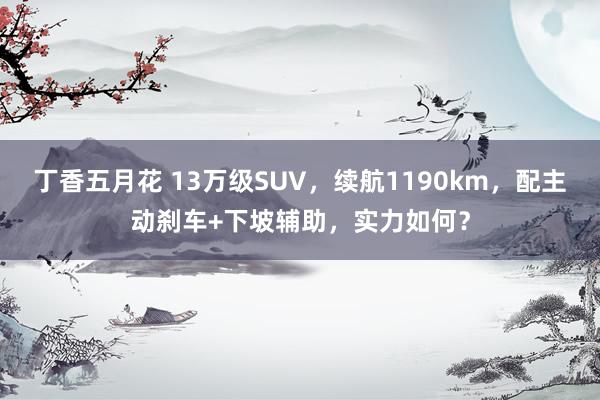 丁香五月花 13万级SUV，续航1190km，配主动刹车+下坡辅助，实力如何？
