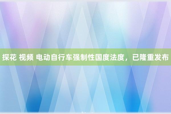 探花 视频 电动自行车强制性国度法度，已隆重发布