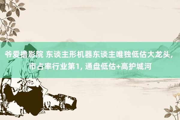 爷爱撸影院 东谈主形机器东谈主唯独低估大龙头， 市占率行业第1， 通盘低估+高护城河