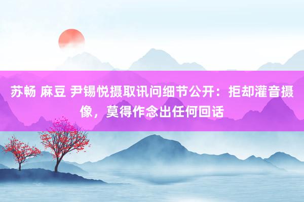 苏畅 麻豆 尹锡悦摄取讯问细节公开：拒却灌音摄像，莫得作念出任何回话