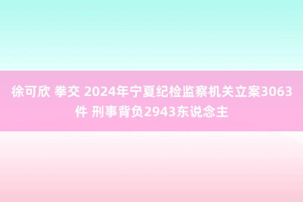 徐可欣 拳交 2024年宁夏纪检监察机关立案3063件 刑事背负2943东说念主