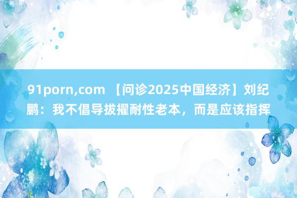 91porn，com 【问诊2025中国经济】刘纪鹏：我不倡导拔擢耐性老本，而是应该指挥