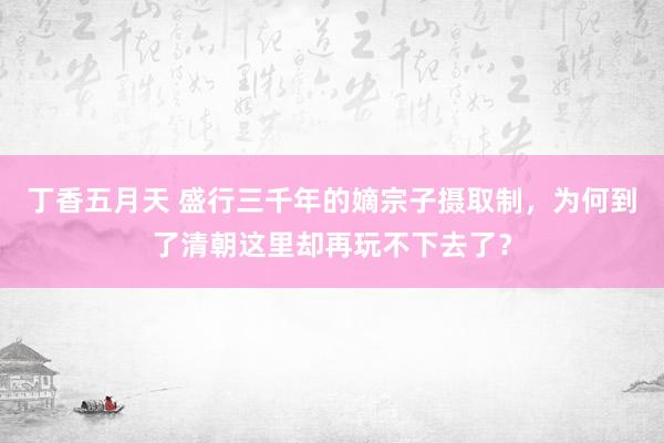 丁香五月天 盛行三千年的嫡宗子摄取制，为何到了清朝这里却再玩不下去了？
