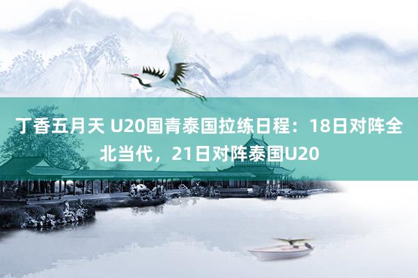 丁香五月天 U20国青泰国拉练日程：18日对阵全北当代，21日对阵泰国U20