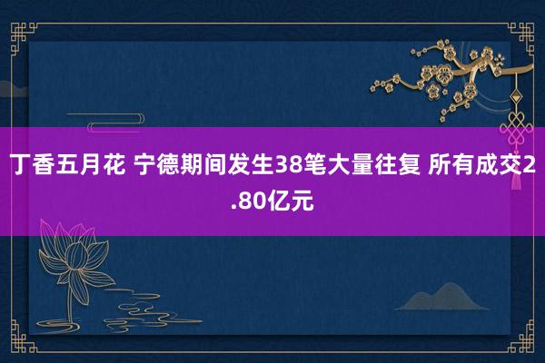 丁香五月花 宁德期间发生38笔大量往复 所有成交2.80亿元
