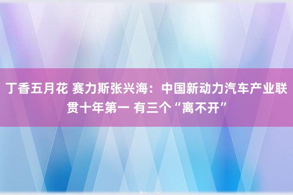 丁香五月花 赛力斯张兴海：中国新动力汽车产业联贯十年第一 有三个“离不开”