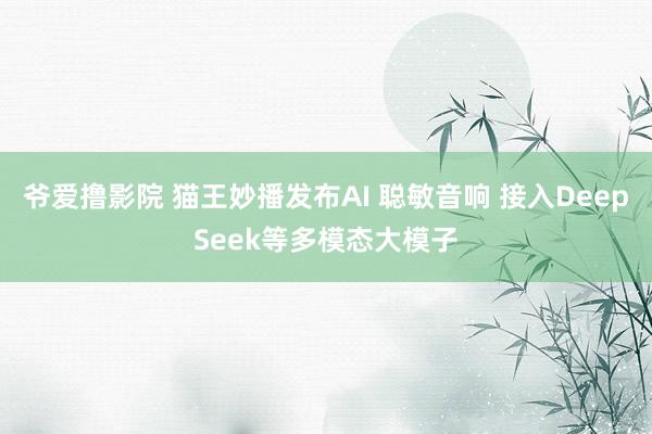 爷爱撸影院 猫王妙播发布AI 聪敏音响 接入DeepSeek等多模态大模子