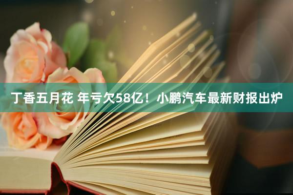 丁香五月花 年亏欠58亿！小鹏汽车最新财报出炉