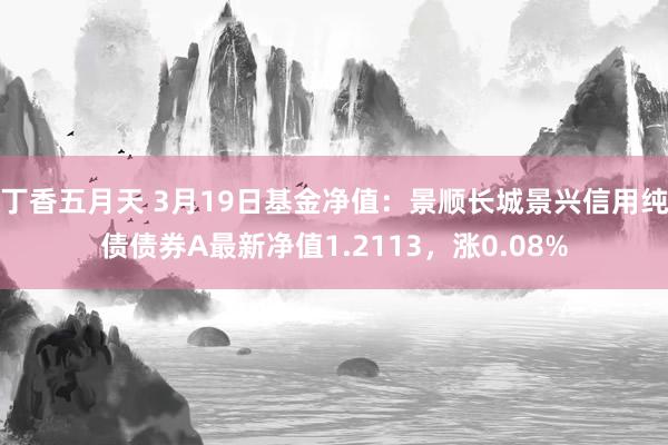 丁香五月天 3月19日基金净值：景顺长城景兴信用纯债债券A最新净值1.2113，涨0.08%