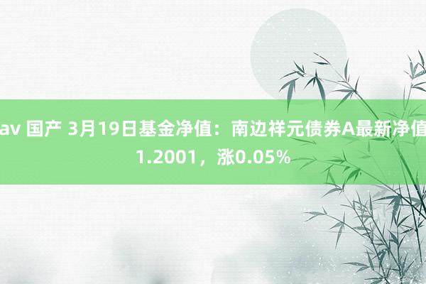 av 国产 3月19日基金净值：南边祥元债券A最新净值1.2001，涨0.05%
