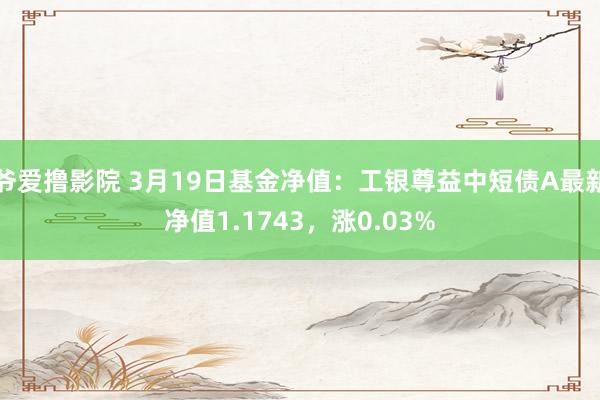 爷爱撸影院 3月19日基金净值：工银尊益中短债A最新净值1.1743，涨0.03%