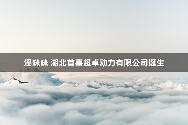 淫咪咪 湖北首嘉超卓动力有限公司诞生