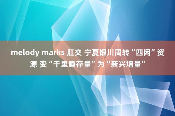melody marks 肛交 宁夏银川周转“四闲”资源 变“千里睡存量”为“新兴增量”