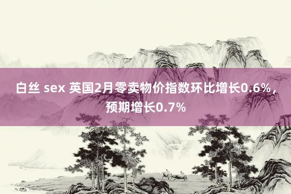 白丝 sex 英国2月零卖物价指数环比增长0.6%，预期增长0.7%