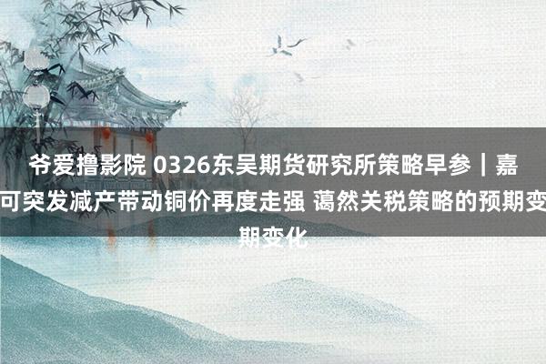 爷爱撸影院 0326东吴期货研究所策略早参｜嘉能可突发减产带动铜价再度走强 蔼然关税策略的预期变化