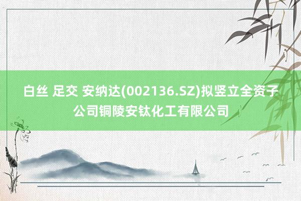 白丝 足交 安纳达(002136.SZ)拟竖立全资子公司铜陵安钛化工有限公司