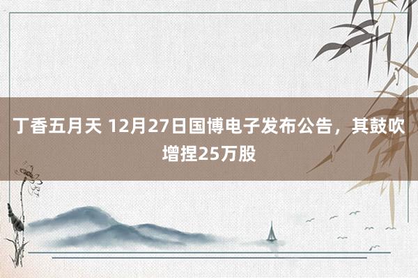 丁香五月天 12月27日国博电子发布公告，其鼓吹增捏25万股