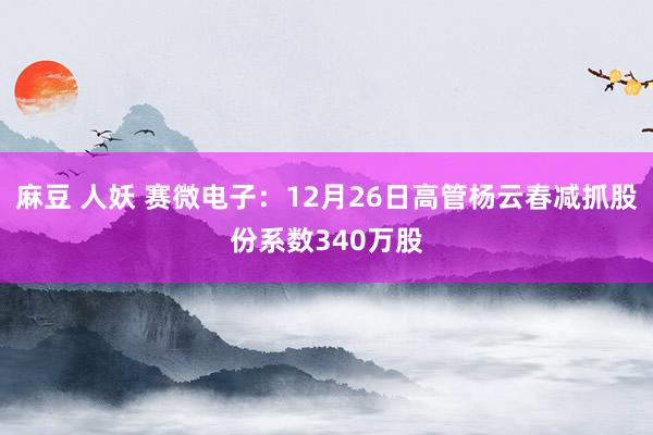 麻豆 人妖 赛微电子：12月26日高管杨云春减抓股份系数340万股